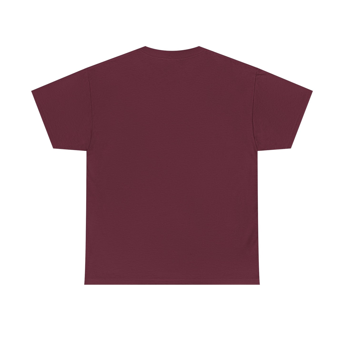 AMERICA WIZARD T-Shirt