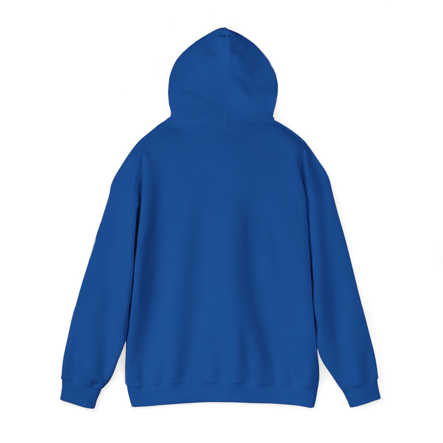I CAST LIBERTY Hooded Sweatshirt
