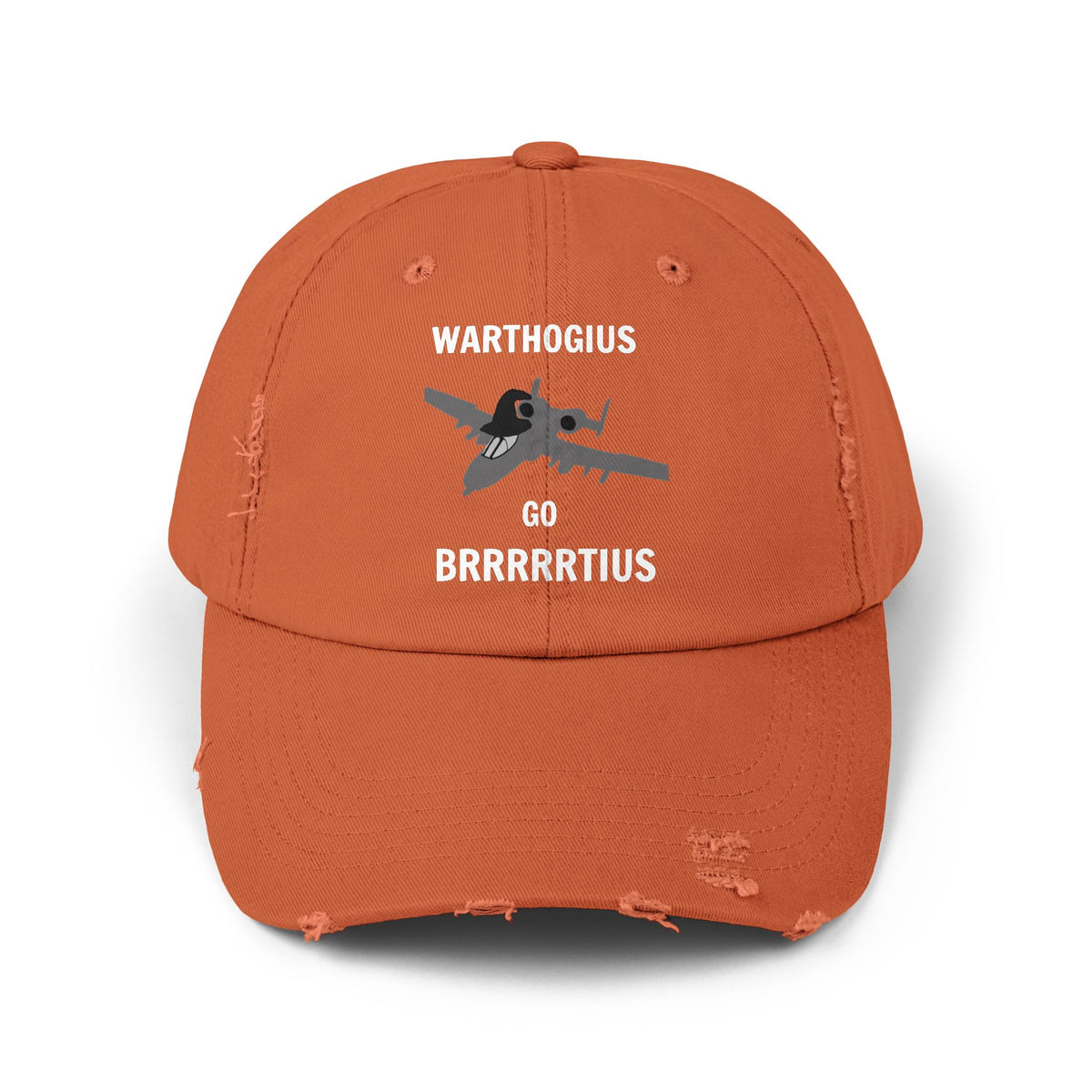 WARTHOGIUS GO BRRRRRTIUS Vintage Cap Hat