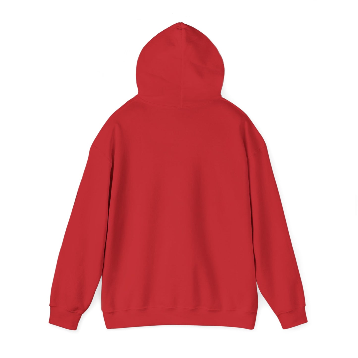 I CAST LIBERTY Hooded Sweatshirt