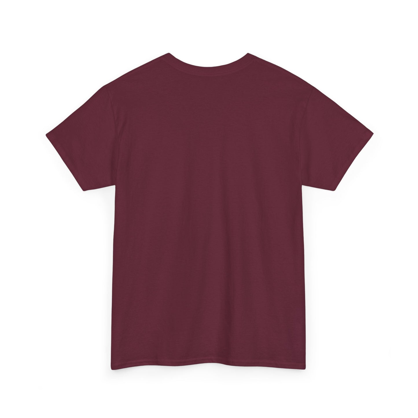 AMERICA WIZARD T-Shirt