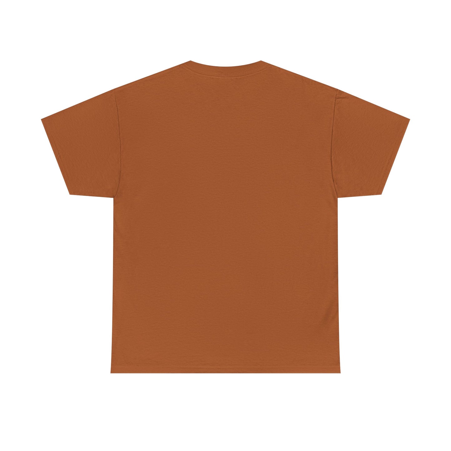 yipidydoo I CAST TRENCH BROOM T-Shirt