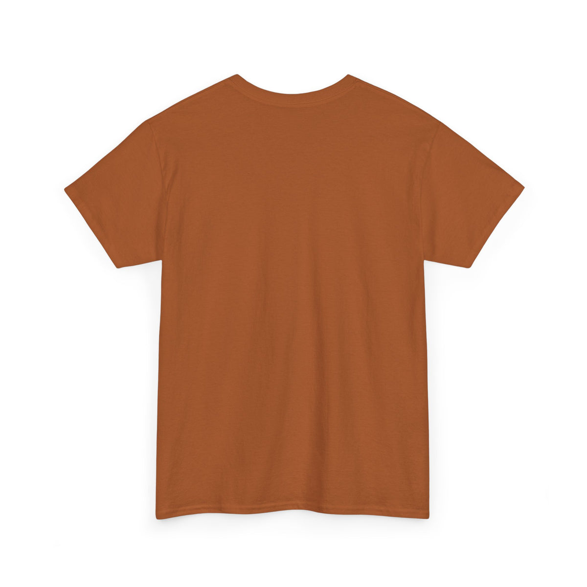 yipidydoo I CAST TRENCH BROOM T-Shirt